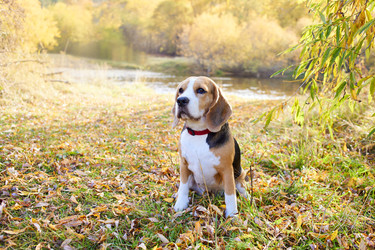 Similar image 22049881