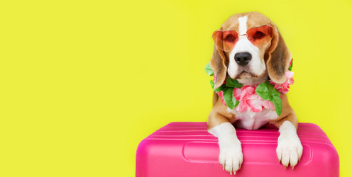 Similar image 22049884