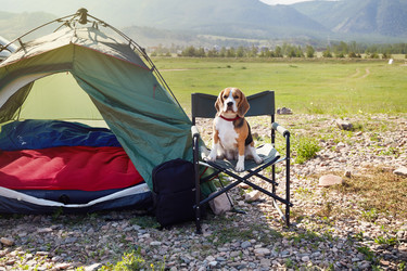 Similar image 22049886