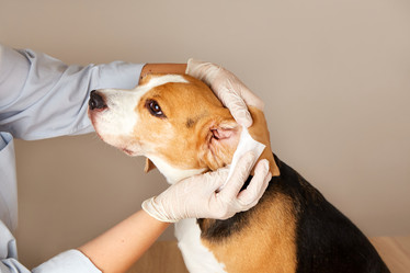 Similar image 22049887