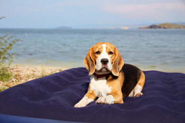 Similar image 22049891