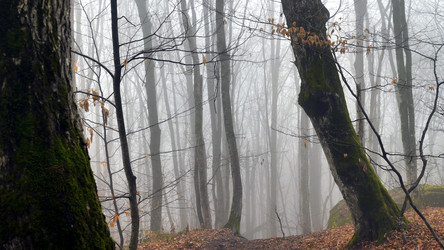 Similar image 22044747