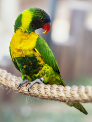 Similar image 22043062