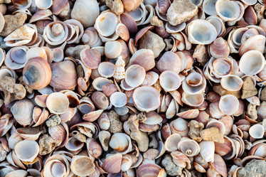 Similar image 22043068