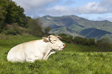 Similar image 22041748