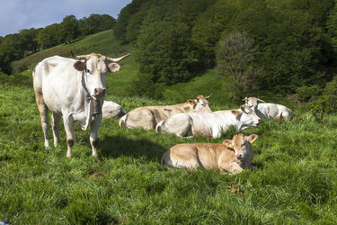 Similar image 22041750