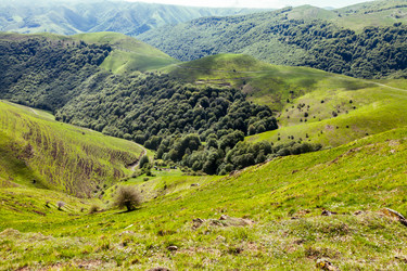 Similar image 22041758