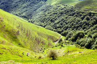 Similar image 22041760