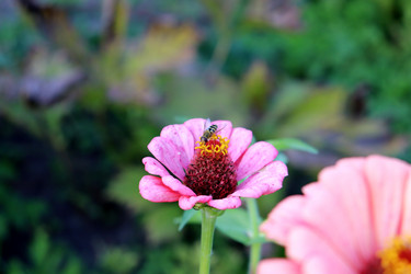 Similar image 22041934