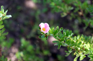 Similar image 22041937