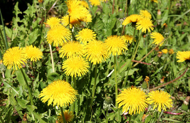 Similar image 22041938