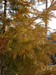 Similar image 22041939