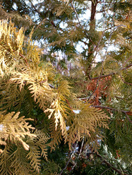 Similar image 22041947