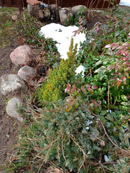 Similar image 22041948