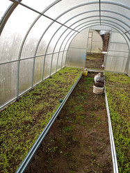 Similar image 22041949