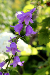 Similar image 22041950