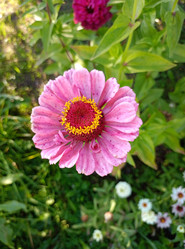 Similar image 22041951