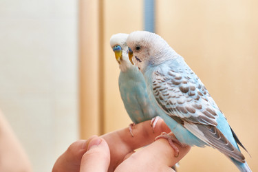 Similar image 22040493