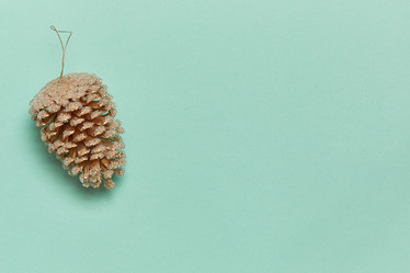 Similar image 22040511