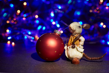 Similar image 22040513