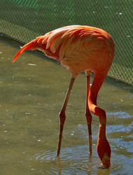 Similar image 22040139