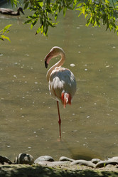 Similar image 22040140