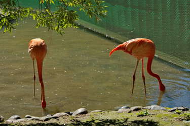 Similar image 22040143