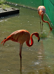 Similar image 22040144