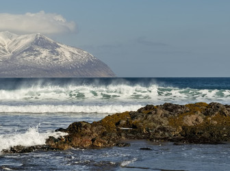 Similar image 22054493