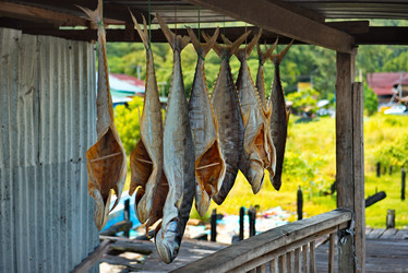 Similar image 22045647