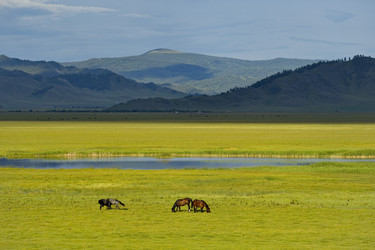 Similar image 22040863