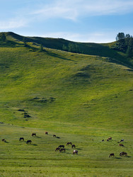 Similar image 22040864