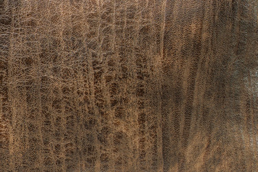 Similar image 22043699