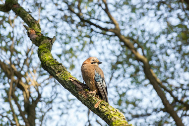 Similar image 22043707