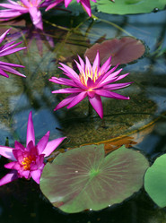 Similar image 22040155