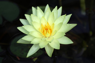 Similar image 22040156