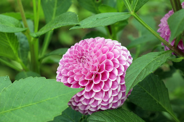 Similar image 22040158