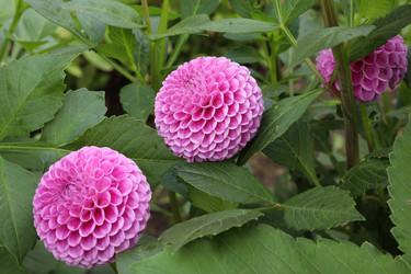 Similar image 22040159