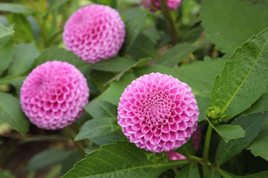 Similar image 22040160