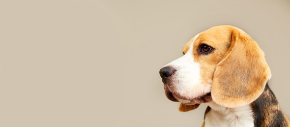 Similar image 22048686