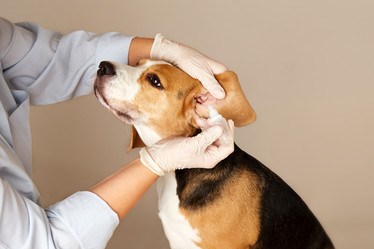 Similar image 22048691