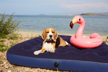 Similar image 22048693