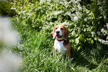 Similar image 22048696