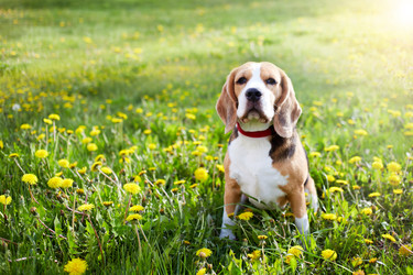 Similar image 22048701