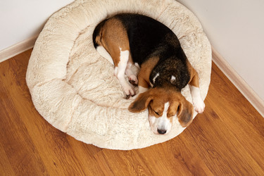 Similar image 22048706