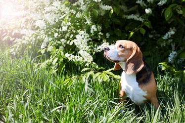 Similar image 22048708