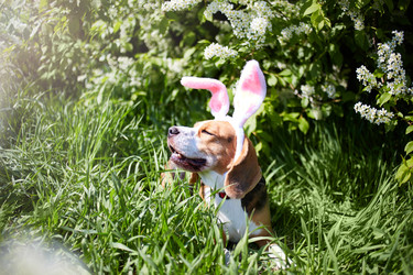 Similar image 22048709