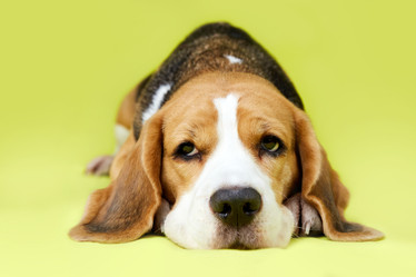 Similar image 22048710