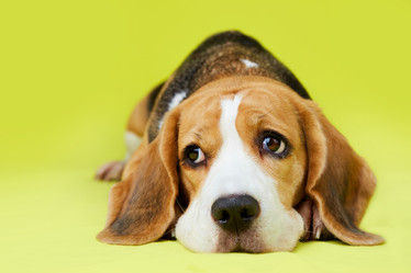 Similar image 22048711