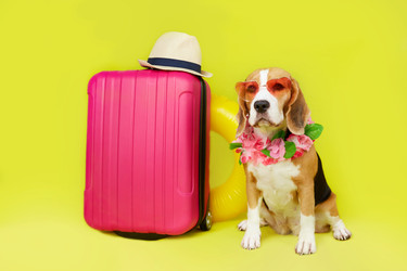 Similar image 22049606